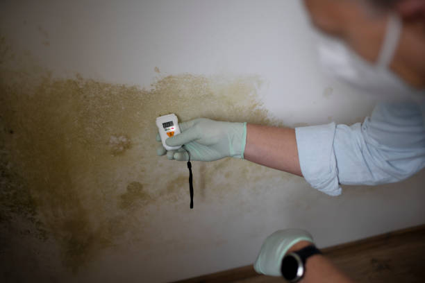 Best Mold Cleaning Services  in Berne, IN