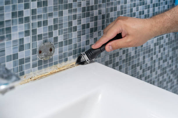Best Certified Mold Removal  in Berne, IN