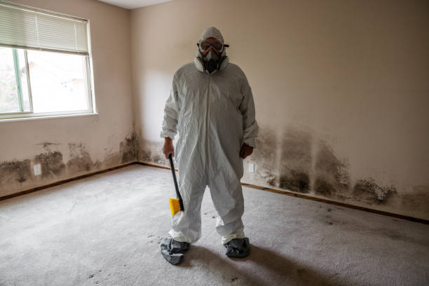 Certified Mold Removal in Berne, IN
